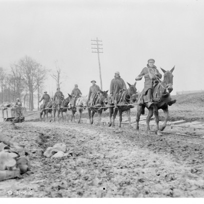 Photographie en noir et blanc – Six hommes en pardessus militaire chevauchent des mulets sur une route accidentée. Ils tirent un chariot de bois contenant des munitions.