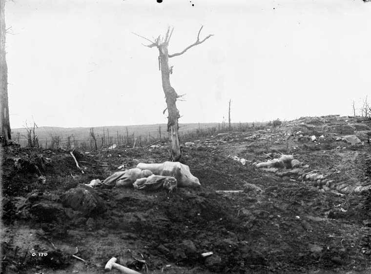 Photographie en noir et blanc – Un champ de bataille couvert de boue est montré; les débris sont partout. Un arbre se dresse au centre. Un bout de tranchée peut être aperçu à droite.