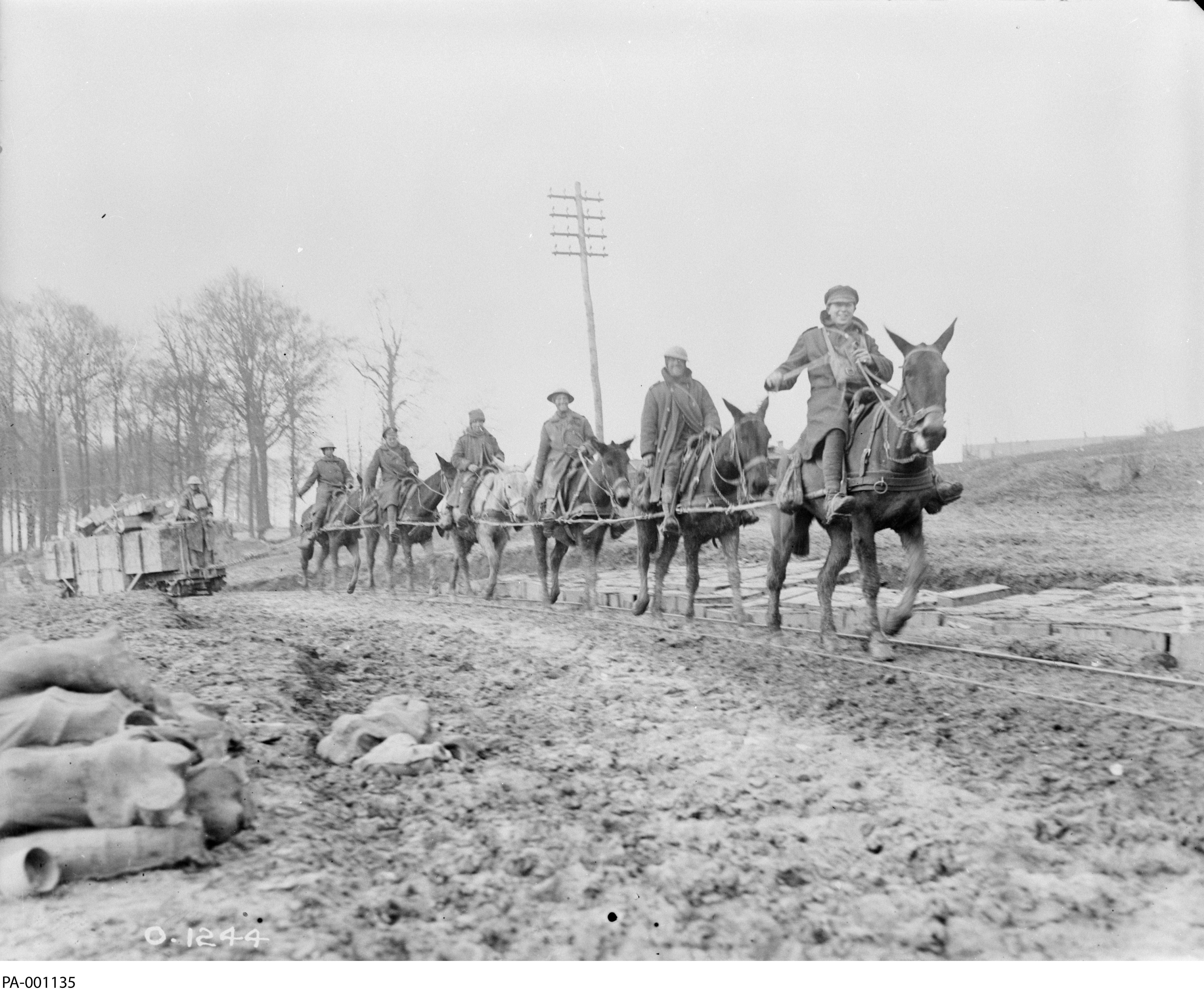 Photographie en noir et blanc – Six hommes en pardessus militaire chevauchent des mulets sur une route accidentée. Ils tirent un chariot de bois contenant des munitions.